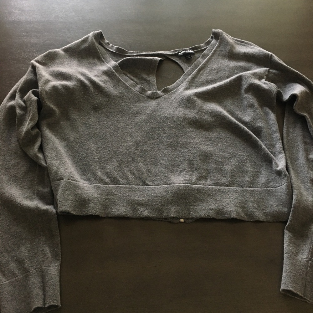 Express long sleeve crop top W/ open back